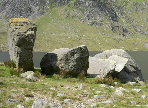 The 'Darwin boulders' viewed towards the south west. All 4 angular boulders (A-D) are on the left and behind D lies the non-angular boulder E. Lynn Idwal can be seen in the background.